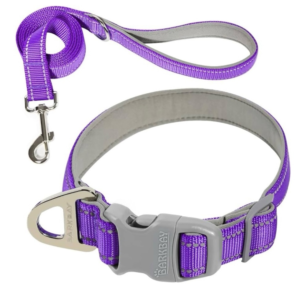 Purple Dog Collar and Leash Set for small dog NWT